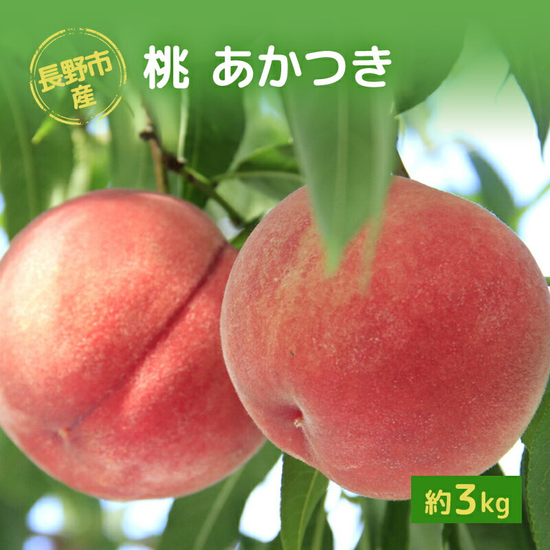 長野市産桃「あかつき」約3kg お届け:2025年7月下旬〜8月上旬