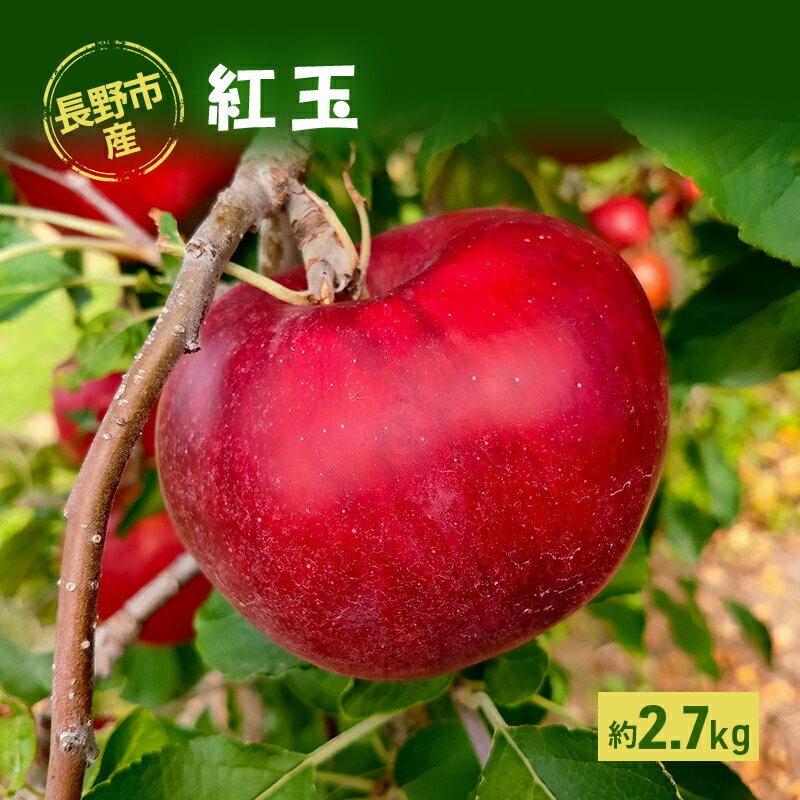 長野市産「紅玉」約2.7kg お届け:2025年9月中旬〜下旬