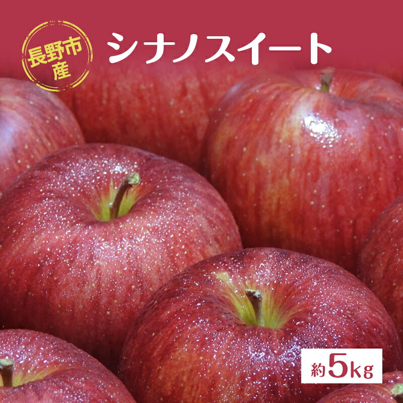 【ふるさと納税】長野市産「シナノスイート」約5kg お届け:2025年10月中旬~11月中旬