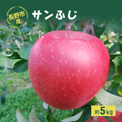 【ふるさと納税】長野市産「サンふじ」約5kg お届け:2025年11月下旬~2026年1月末 【ふるさと納税】長野市産「サンふじ」約5kg お届け:2025年11月下旬~2026年1月末