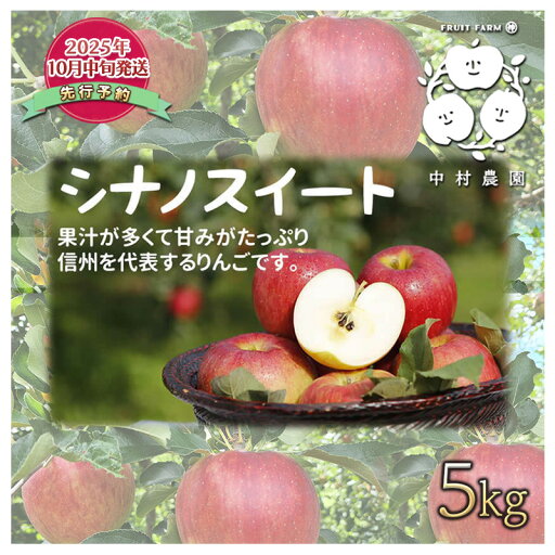 【ふるさと納税】先行予約 りんご 5kg 樹上熟成 シナノスイート 林檎 リンゴ 果物 くだもの フルーツ 旬の果物 旬のフルーツ 季節の果物 季節のフルーツ 美味しい果物 長野県産 長野県産りんご 信州 長野 長野県 長野市 お届け:2025年10月中旬~11月中旬 【ふるさと納税】先行予約 りんご 5kg 樹上熟成 シナノスイート 林檎 リンゴ 果物 くだもの フルーツ 旬の果物 旬のフルーツ 季節の果物 季節のフルーツ 美味しい果物 長野県産 長野県産りんご 信州 長野 長野県 長野市 お届け:2025年10月中旬~11月中旬