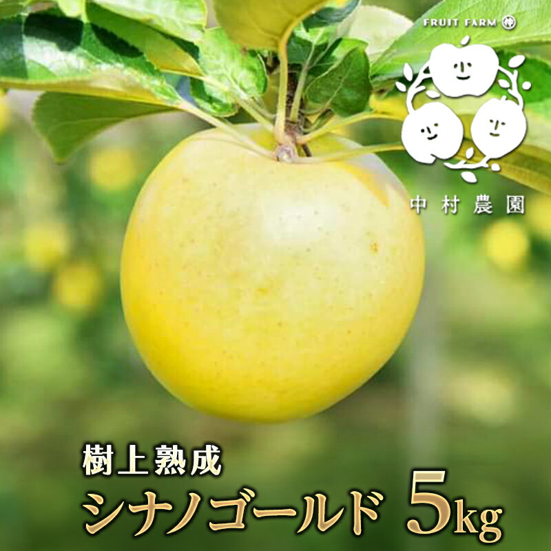 【ふるさと納税】樹上熟成シナノゴー...