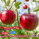 【ふるさと納税】りんご 米山農園のおまかせりんご約3kg シナノリップ さんつがる シナノドルチェ 紅玉 セット 長野県 長野市 お届け:2025年8月下旬~9月下旬