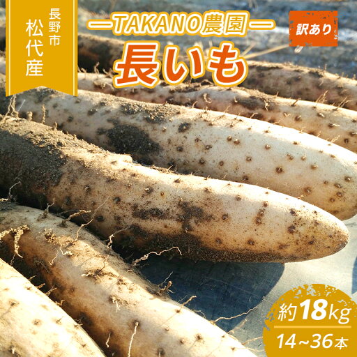 【ふるさと納税】先行予約 長野市松代産 TAKANO農園 長いも 約18kg(訳あり)【14~36本】長芋 ながいも お届け:2025年11月下旬~2026年3月上旬 【ふるさと納税】先行予約 長野市松代産 TAKANO農園 長いも 約18kg(訳あり)【14~36本】長芋 ながいも お届け:2025年11月下旬~2026年3月上旬