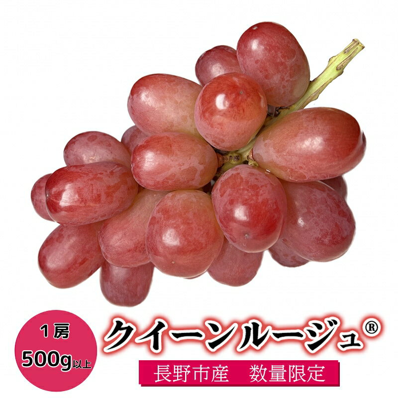 【ふるさと納税】クイーンルージュ(登録商標) 1房 大房500g以上入り ぶどう ブドウ 葡萄 長野県 長野県産 2025年秋発送 お届け:2025年9月下旬~2025年11月上旬まで
