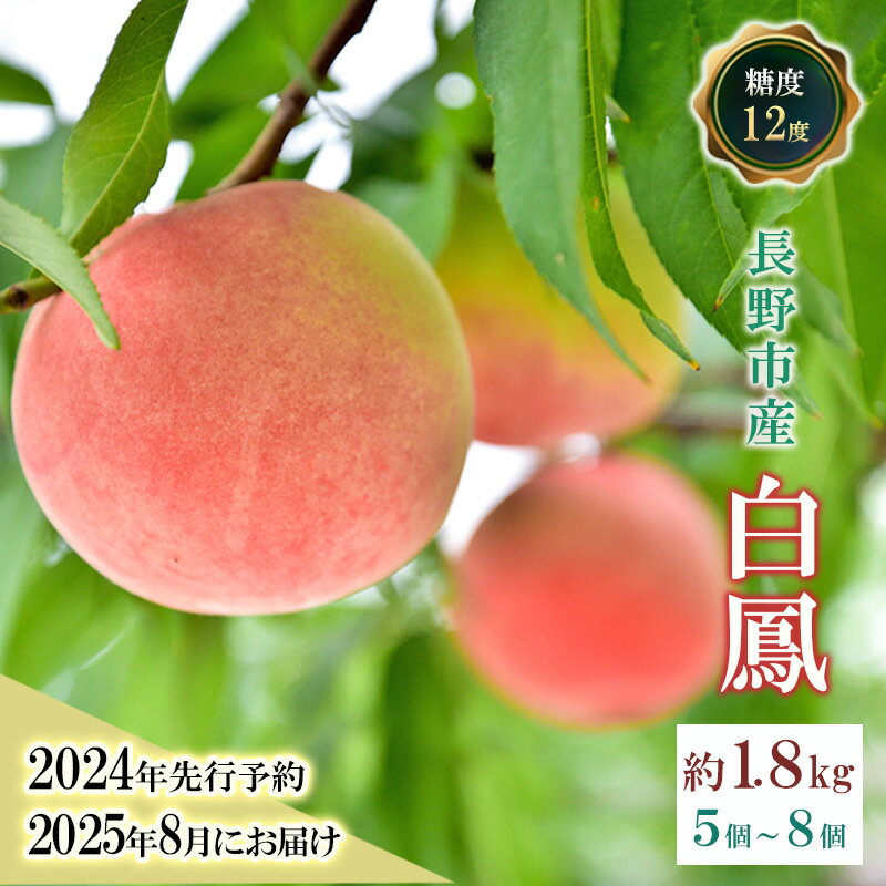 【ふるさと納税】先行予約 白鳳 約1.8kg 糖度12度 オンライン決済限定 白桃 もも モモ フルーツ 果物 くだもの 長野県 川中島産 長野 お届け:2025年8月上旬~中旬 お取り寄せ お届け:2025年8上旬~2025年8月中旬まで