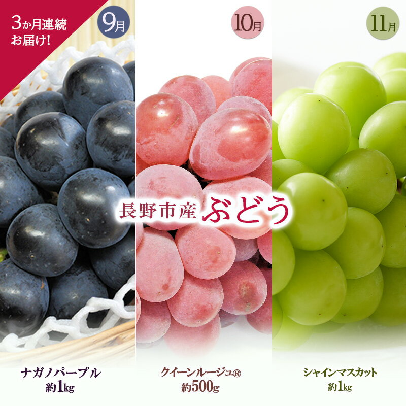 長野市産ぶどう3か月連続お届け![1か月目]ナガノパープル約1kg[2か月目]クイーンルージュ(登録商標)約500g[3か月目]シャインマスカット約1kg2025年9月〜11月まで発送 お届け:2025年9月上旬〜2025年11月下旬まで