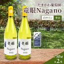 【ふるさと納税】ワイン 竜眼Nagano 【GI長野】認定 2本セット 長野市 白ワイン