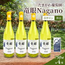 【ふるさと納税】ワイン 竜眼Nagano 【GI長野】認定 4本セット 長野市 白ワイン