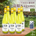 【ふるさと納税】ワイン 竜眼Nagano 【GI長野】認定 6本セット 長野市 白ワイン