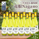 【ふるさと納税】ワイン 竜眼Nagano 【GI長野】認定 12本セット 長野市 白ワイン