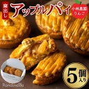 【ふるさと納税】アップルパイ 【季節限定】小林農園りんごの窯出しアップルパイ5個入り お取り寄せ 絶品 焼菓子 ギフト 信州 長野 お届け:2025年10月中旬~2026年3月下旬
