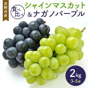 【ふるさと納税】シャインマスカット&ナガノパープル 2kg 3-5房 食べ比べ 長野市産 フルーツ 果物 ぶどう ※配送不可:沖縄、離島 お届け:2025年8月...