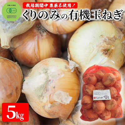 【ふるさと納税】栽培期間中農薬不使用！くりのみの有機玉ねぎ5kg　【 野菜 万能野菜 国産野菜 長野市産 オーガニック みずみずしい 甘みたっぷり 】　お届け：2024年6月下旬のサムネイル