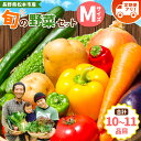 【ふるさと納税】子育て農家の野菜セット（Mサイズ）農薬・化学