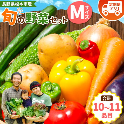 子育て農家の野菜セット（Mサイズ）農薬・化学肥料不使用 野菜 セット おまかせ 長野県 松本市産 定期便 旬の野菜 農薬不使用 化学肥料不使用