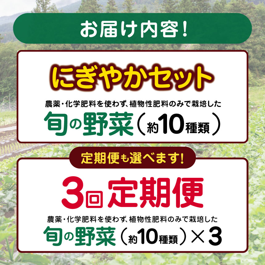 【ふるさと納税】信州・むすび野菜　にぎやかセット　旬 野菜を約10種お届け 定期便3回