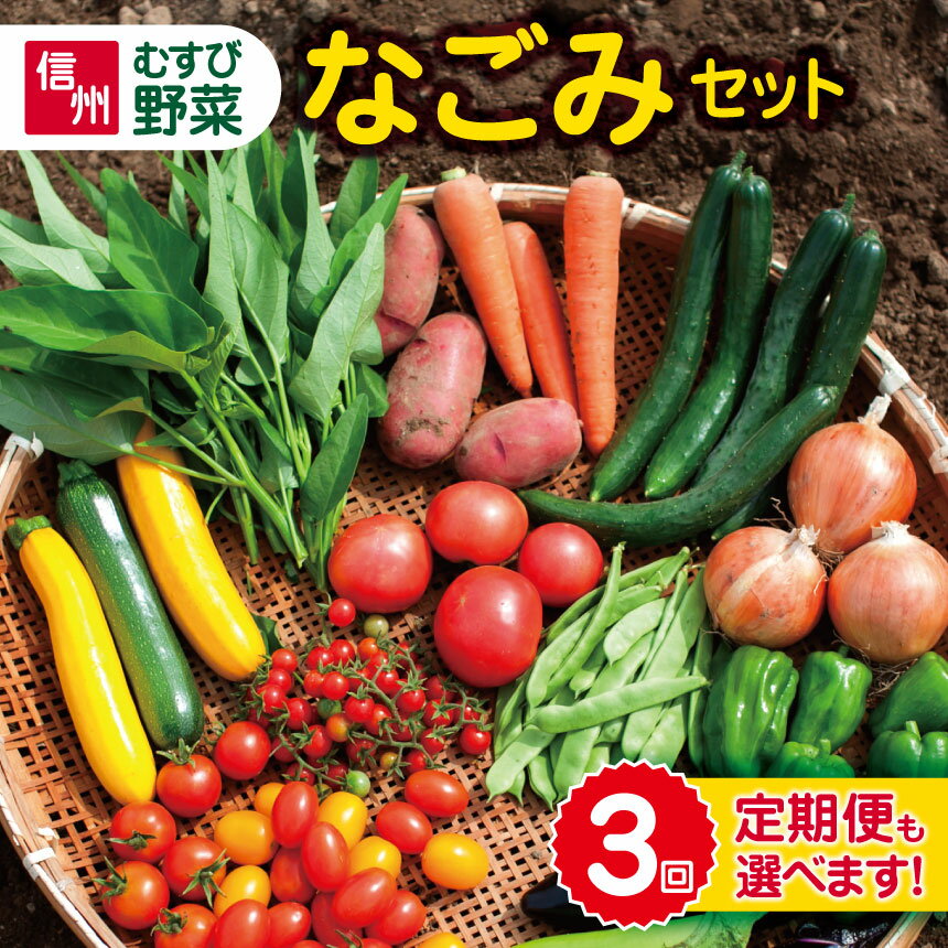 59位! 口コミ数「0件」評価「0」野菜 セット おまかせ 長野県松本市産 旬 野菜（6～7種） むすび野菜｜農薬不使用・化学肥料不使用 植物性肥料 旬の野菜 レシピ付き