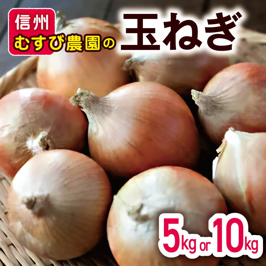 玉ねぎ 長野県産 5kg 10kg 信州 むすび農園