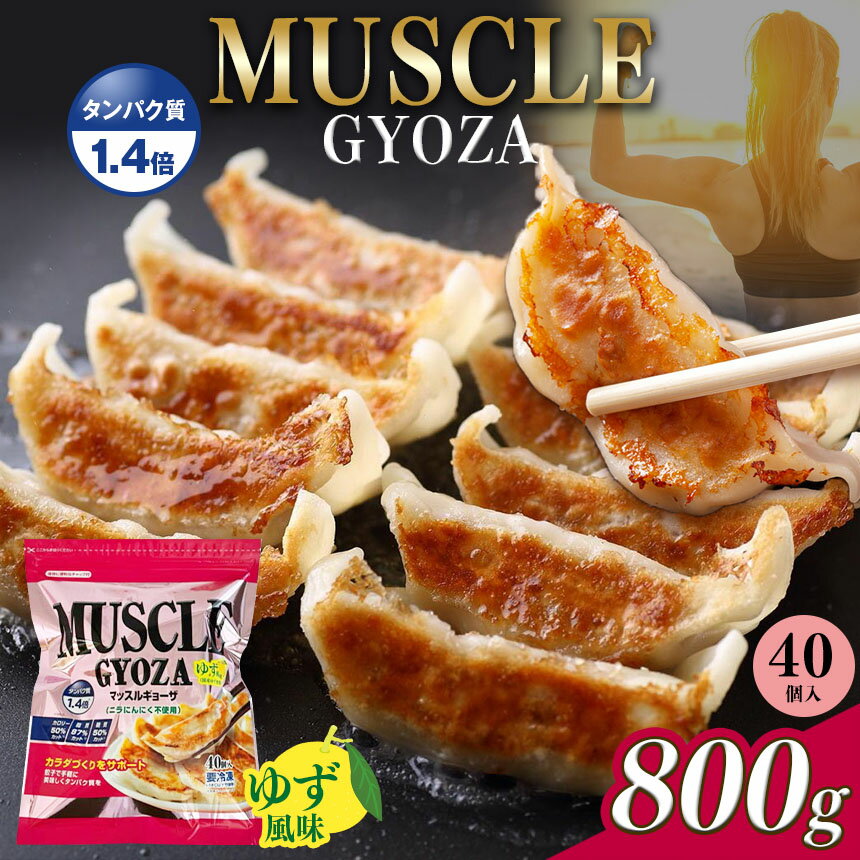 【ふるさと納税】選べる　 MUSCLE GYOZA ～ マッスル ギョーザ ～ ゆず 風味｜ふるさと納税 餃子 ギョーザ 低糖質 マッスルギョーザ 長野県 松本市