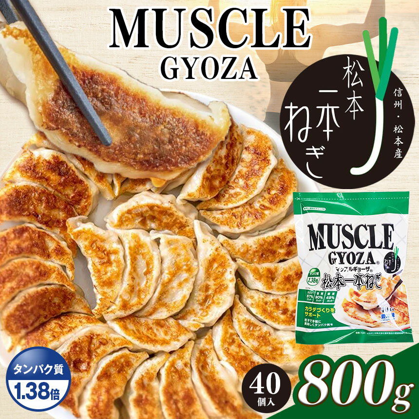【ふるさと納税】【選べる定期便】 MUSCLE GYOZA ~ マッスルギョーザ ~ 松本 一本ねぎ|ふるさと納税 餃子 ギョーザ ねぎ ネギ タンパク質 低糖質 マッスルギョーザ 長野県 松本市