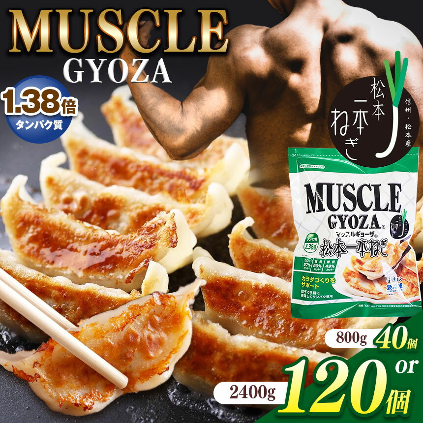 【ふるさと納税】【選べる】 MUSCLE GYOZA 〜 マッスルギョーザ 〜 松本一本ねぎ 単品or3パックセット|ふるさと納税 餃子 ギョーザ ねぎ ネギ ...