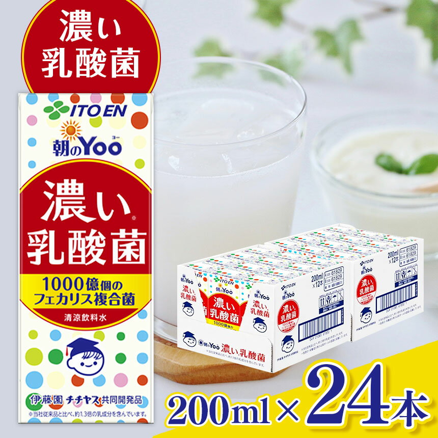 7位! 口コミ数「0件」評価「0」紙 朝 のYoo 濃い 乳酸菌 200ml × 24本