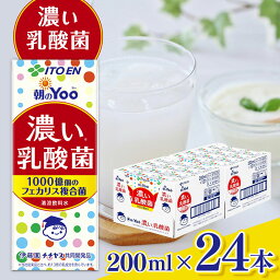 【ふるさと納税】紙 朝 のYoo 濃い 乳酸菌 200ml × 24本