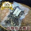 【ふるさと納税】【10月下旬頃発送】乾燥原木まいたけ 100gx1袋| ふるさと納税 まいたけ きのこ マイタケ 原木 舞茸 長野県 松本市 乾燥