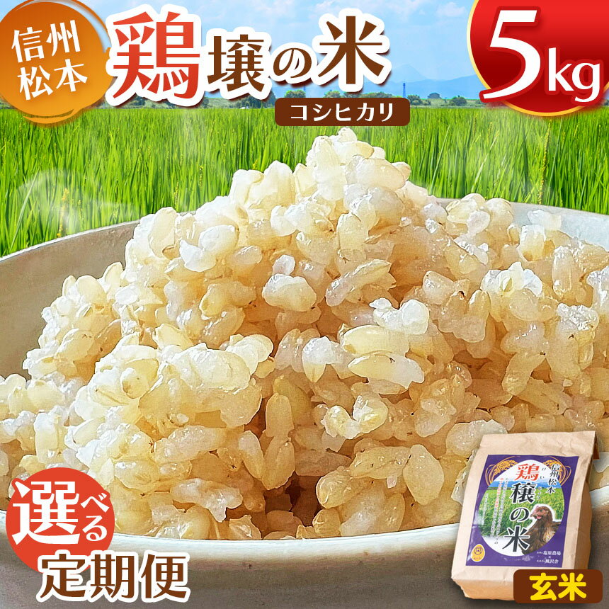 【ふるさと納税】鶏穣(けいじょう)の米 玄米 5kg【 選べる 定期便 】 単品 or 2回 or 4回 or 6回 or 12回 |米 玄米 コシヒカリ こしひかり 鶏穣の米 信州 松本産 5kg こめ ご飯 国産 長野県 松本市 単品 定期便