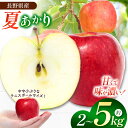 【ふるさと納税】【選べる夏あかり】夏りんごの革命児。甘くて硬い味の濃いりんご、夏あかり 約2kg 約3kg 約5kg【先行予約】| りんご リンゴ 林檎 果物 フルーツ くだもの 信州産 なつあかり 長野県 松本市(4)