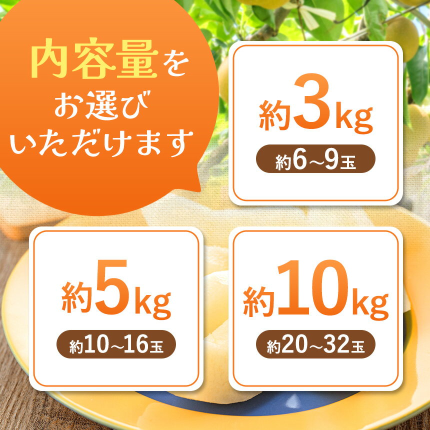 【ふるさと納税】信州生まれの優れもの。日保ちする【南水 (なんすい) 】糖度15度。超甘い、シャリ感、硬い、ジューシー、 先行予約 梨 なし