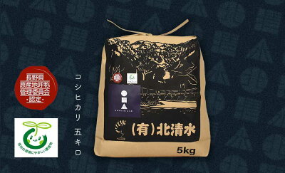 楽天ふるさと納税　【ふるさと納税】 【数量限定】 コシヒカリ 5kg ＜長野県原産地呼称管理制度認定米＞ ｜ こしひかり 精米 こめ ご飯 和食 長野県 松本市