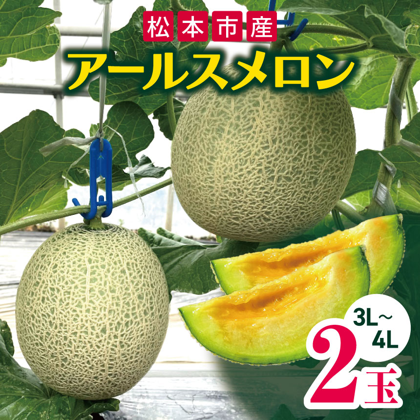 松本市産 アールスメロン 2玉 家庭用 果物 フルーツ めろん メロン 長野県 松本市 2玉 ( 3L 〜 4L )