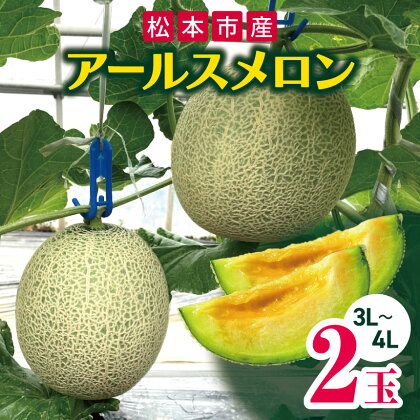 松本市産 アールスメロン 2玉 家庭用 果物 フルーツ めろん メロン 長野県 松本市 2玉 ( 3L ～ 4L )