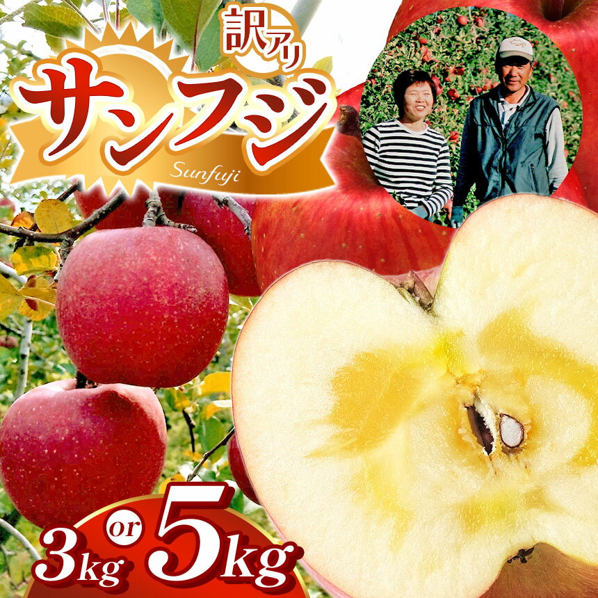 【ふるさと納税】訳アリ　サンふじ　3kg～5kg | ふるさと納税 長野県 松本市 林檎 りんご リンゴ 訳あり サンふじ 信州産 季節限定 大容量のサムネイル