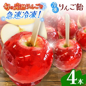【ふるさと納税】もぎっと!キュン 冷凍りんごあめ(合計4個入り) | ふるさと納税 りんごあめ 冷凍 飴 懐かしい アイス 果物 くだもの フルーツ リンゴ りんご 林檎 信州産 長野県 松本市