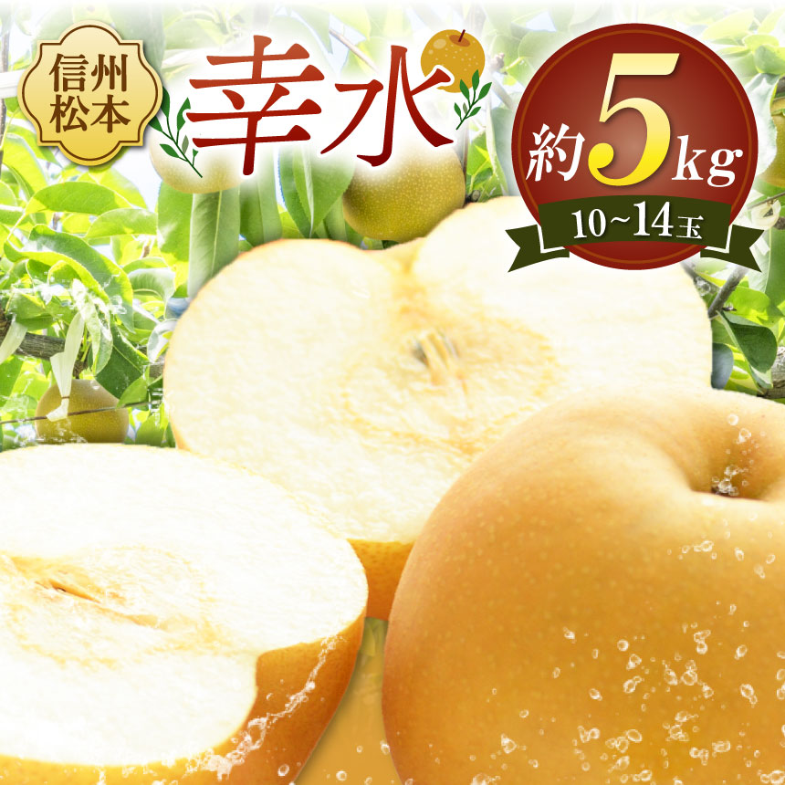 【ふるさと納税】【先行受付：2026年発送】幸水 10～14玉（約5kg）｜ふるさと納税 長野県 松本市 幸水 梨 甘い ジューシー フルーツ 大人気