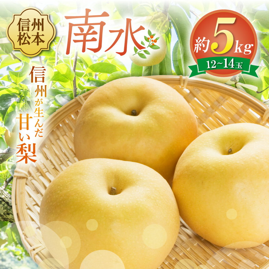 【ふるさと納税】【先行受付】南水 12~14玉 (約5kg)|ふるさと納税 長野県 松本市 豊水 梨 甘い ジューシー フルーツ 大人気