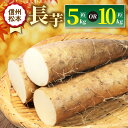 【ふるさと納税】【先行受付】選べる 長芋 2L~4L (約5kg~10kg)|ふるさと納税 松本市 長芋 長いも 料理 自然 芋 ビタミン 豊富 地元 新鮮