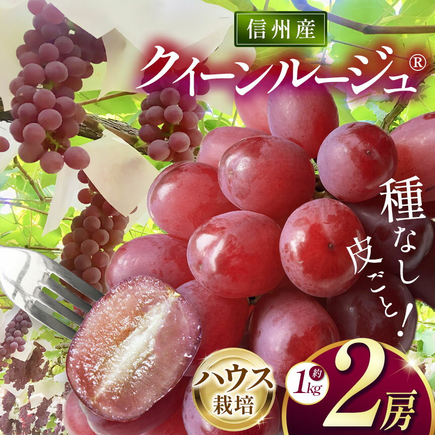 【ふるさと納税】信州産 クイーンルージュ®（ハウス栽培） 2房（約1kg）｜ふるさと納税 松本市 ぶどう 葡萄 クイーンルージュ 果物 フルーツ 種無し 新鮮 信州産 先行予約のサムネイル