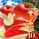 【ふるさと納税】【選べる】サンふじ特選 3kg~10kg|ふるさと納税 松本市 サンふじ 果物 林檎 りんご 果物 フルーツ 信州 美味しい 特選