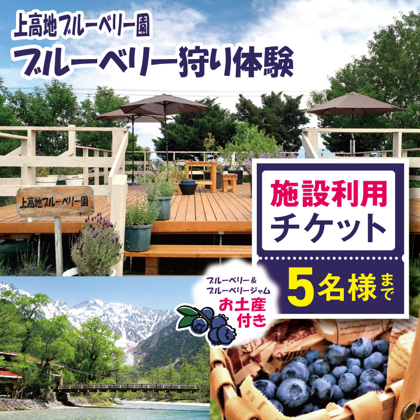 【ふるさと納税】上高地ブルーベリー園 ブルーベリー狩り体験、施設利用チケット 5名様まで (ブルーベリーお土産付き)│信州 贈答用 ブルーベリー 新鮮 加工品 甘い 美味しい 特別 松本 ふるさと納税 上高地 ブルーベリー狩り