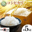 【ふるさと納税】【9月下旬発送】〔松本農未来project〕 信州松本産 こしひかり 5kg│信州 松本 米 お米 ご飯 こしひかり 5kg 長野県 松本市 松本市 ふるさと納税