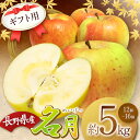 【ふるさと納税】【先行受付】【隠れた逸品!】ギフト用 名月 5kg(12個~16個) | ふるさと納税 果物 くだもの フルーツ 名月 リンゴ りんご 林檎 信州産 長野県 松本市 ギフト用