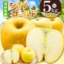 【ふるさと納税】【先行受付】【日持抜群!バランス型】シナノゴールド 5kg | ふるさと納税 果物 くだもの フルーツ シナノゴールド リンゴ りんご 林檎 信州産 長野県 松本市