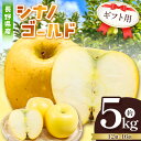 【ふるさと納税】【先行受付】【日持抜群!バランス型】ギフト用 シナノゴールド 5kg | ふるさと納税 果物 くだもの フルーツ シナノゴールド リンゴ りんご...