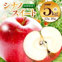 【ふるさと納税】【先行受付】【見た目も味もSWEET!】シナノスイート5kg | ふるさと納税 果物 くだもの フルーツ シナノスイート リンゴ りんご 林檎 信州産 長野県 松本市