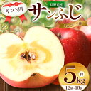 【ふるさと納税】【先行受付】【りんごの王様を農園から】ギフト用 サンふじ 5kg | ふるさと納税 果物 くだもの フルーツ サンふじ リンゴ りんご 林檎 信...