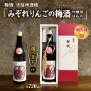 【ふるさと納税】【選べる】大信州酒造「みぞれりんごの梅酒 吟醸酒仕込み」 |ふるさと納税 大信州酒造 大信州 酒 日本酒 梅酒 りんご みぞれリンゴ 飲料 ドリ...